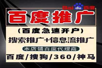 SEM广告投放中的数据监控与调整策略——以某品牌营销案例为例